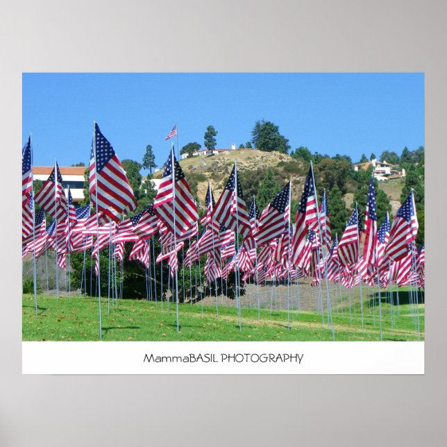 Poster Du Champ De Drapeaux ! (Devant)