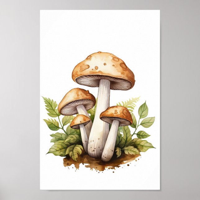 Poster du champignon botanique, peinture aquarelle (Devant)
