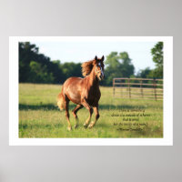 Poster du cheval à galop Imprimer