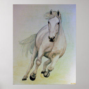 Poster du Cheval Blanc