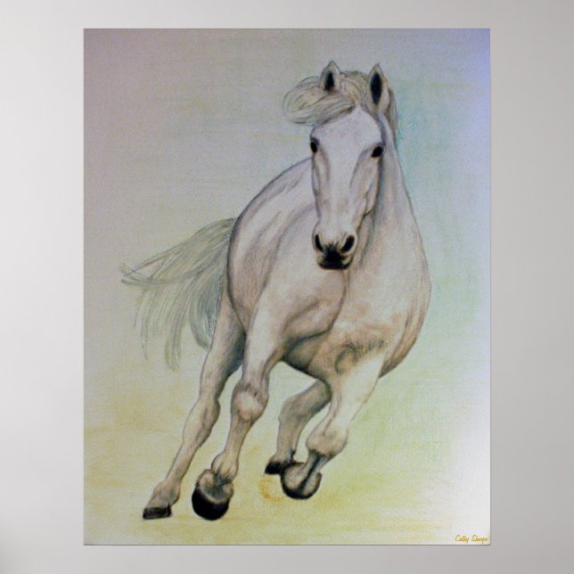 Poster du Cheval Blanc (Devant)
