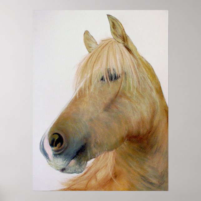Poster du cheval "Boris" (Devant)