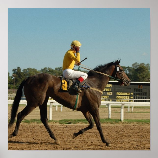 Poster du cheval de course Thoroughbred Imprimer (Devant)