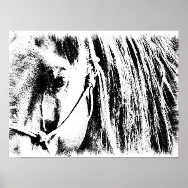 Poster du cheval - noir et blanc (Devant)