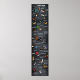 Poster du chien cool