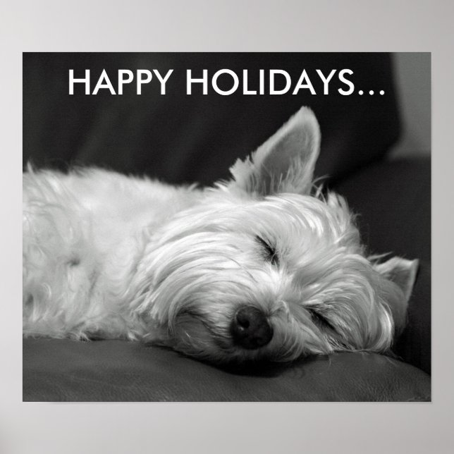 Poster du chien de Terrier Terrier de l'Ouest (Devant)