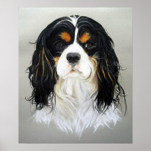 Poster du chien espagnol Cavalier King Charles Imp