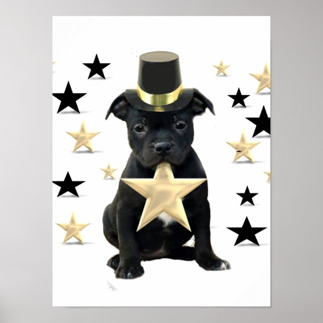 Poster du chiot du Staffordshire (Devant)