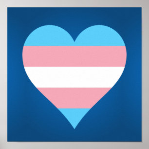Poster du coeur de la fierté transgenre