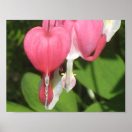 Poster du coeur floral - Papier de valeur Matte