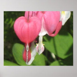 Poster du coeur floral saignant - Papier de Matte 