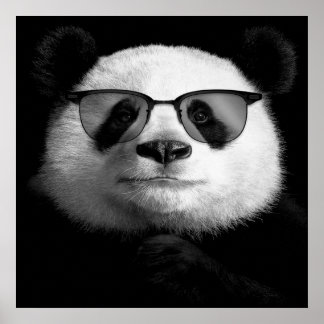 Poster du cool Panda | Cute Panda Lover