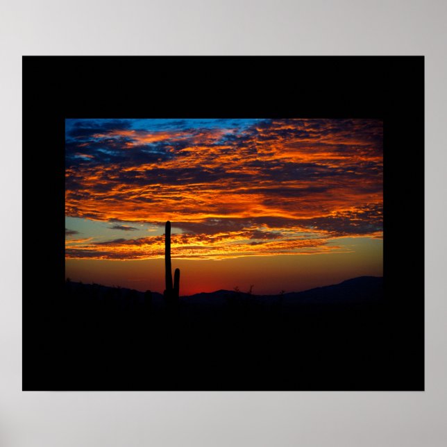Poster du coucher de soleil de Cactus (Devant)