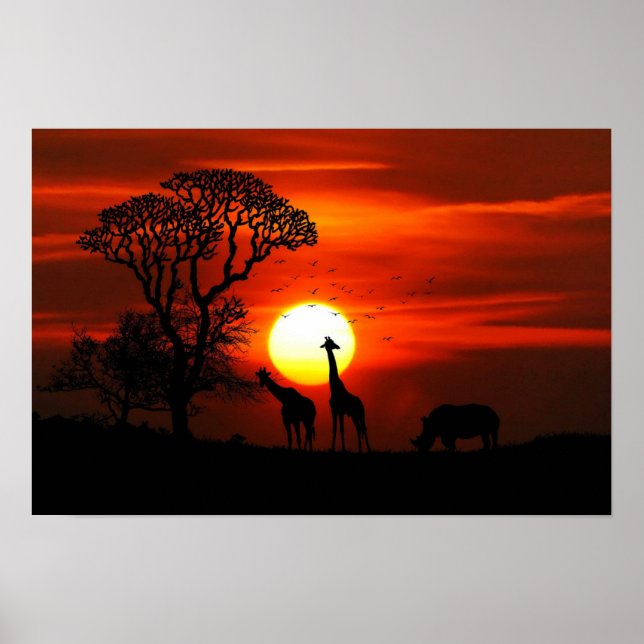Poster du coucher de soleil de Giraffe et de Rhino (Devant)