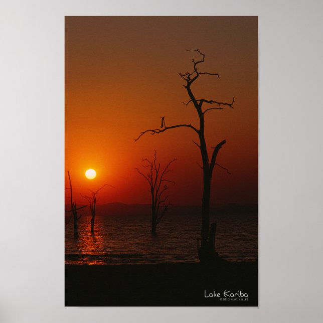 Poster du coucher de soleil sur le lac Kariba (Devant)