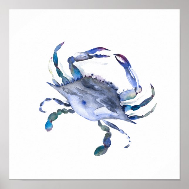 Poster du crabe bleu aquarelle (Devant)