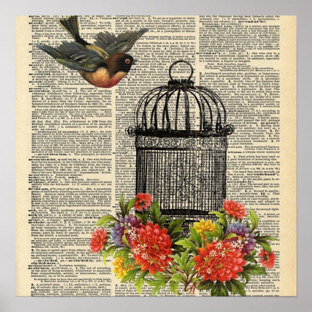 Poster du dictionnaire vintage Bird Cage (Devant)