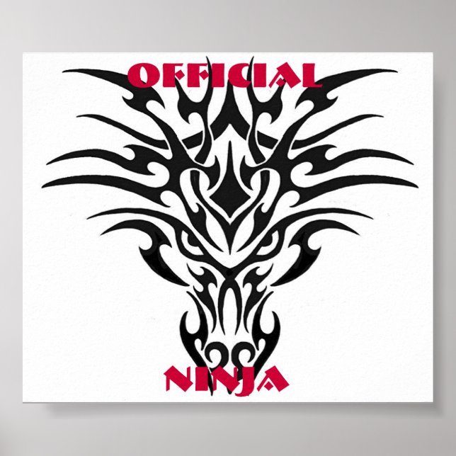Poster du dragon (Devant)