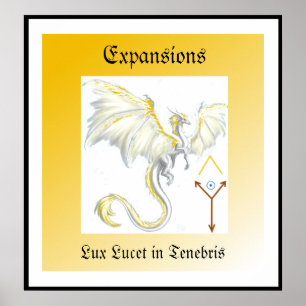 Poster du dragon à ailes blanches