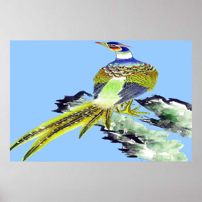 Poster du faisan debout dessin 5 (Devant)