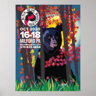 Poster du Festival du film de l'ours noir 2020