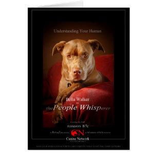 Poster du film Chien Mix de laboratoire de chocola