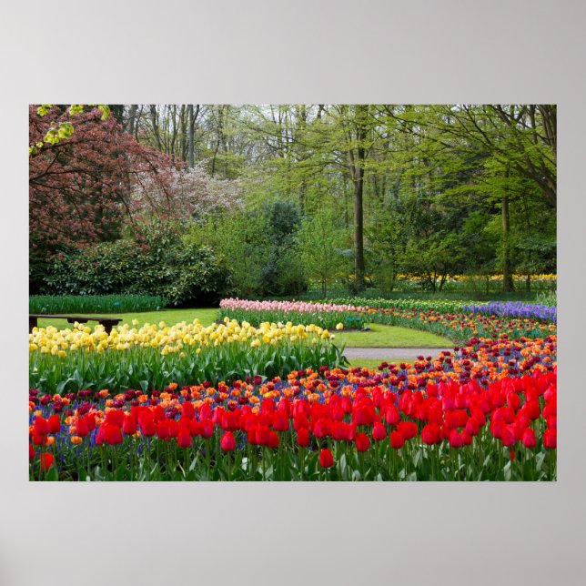 Poster du jardin (Devant)