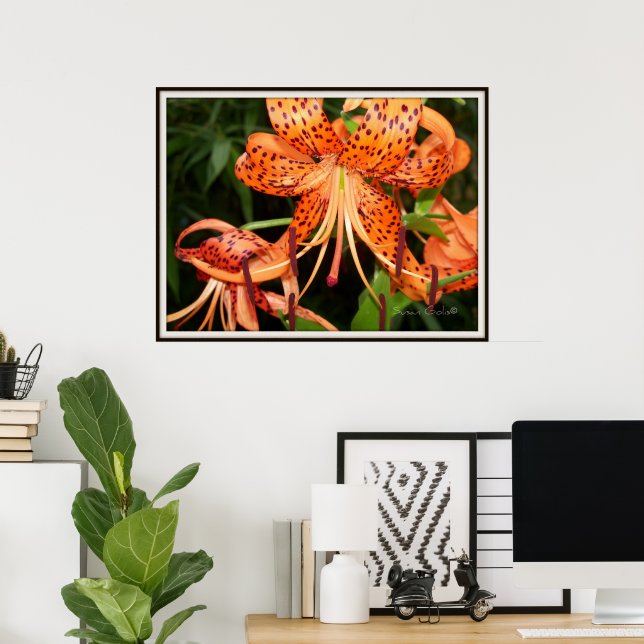 Poster du Jardin de Tiger Lily (Bureau à domicile)