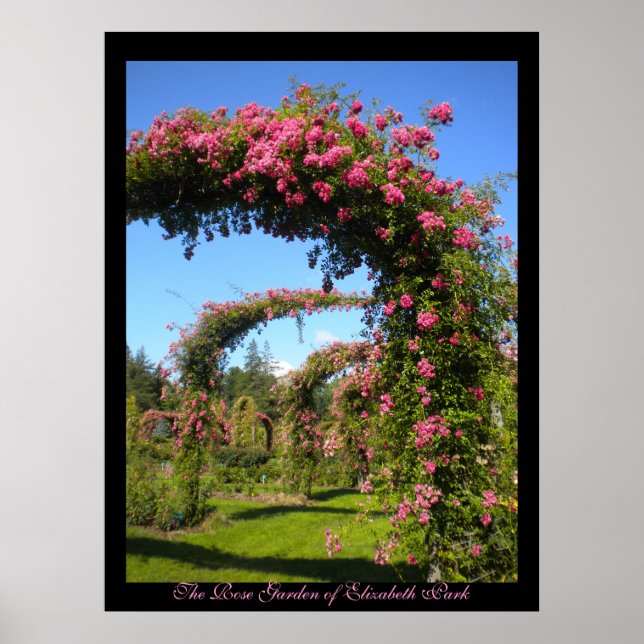 Poster du Jardin Rose d'Elizabeth Park (Devant)