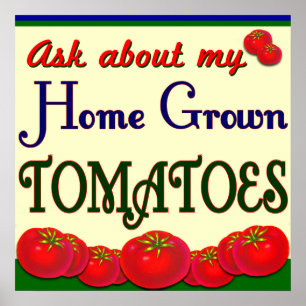 Poster du jardinier de tomates cultivé