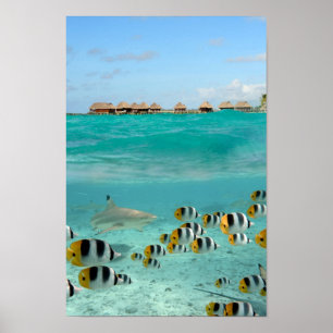 Poster du lagon de Bora Bora
