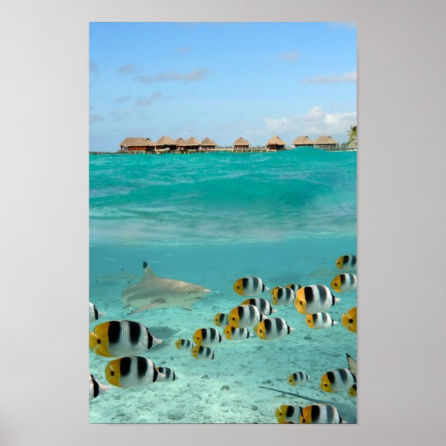 Poster du lagon de Bora Bora (Devant)