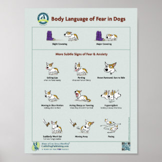 Poster du langage corporel de la peur chez les chi