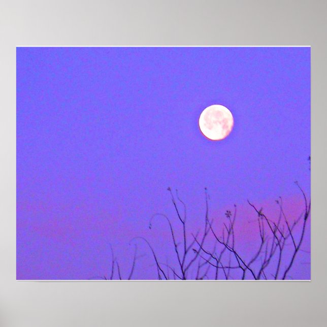 Poster du lever du soleil d'hiver du matin (Devant)