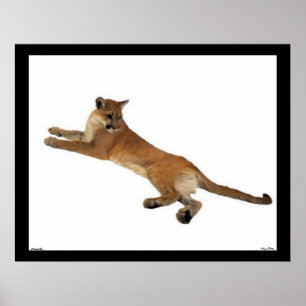 Poster du lion de montagne