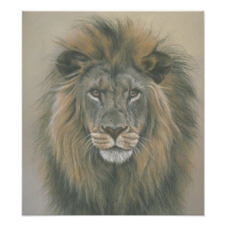 Poster du Lion du Seigneur de la Jungle