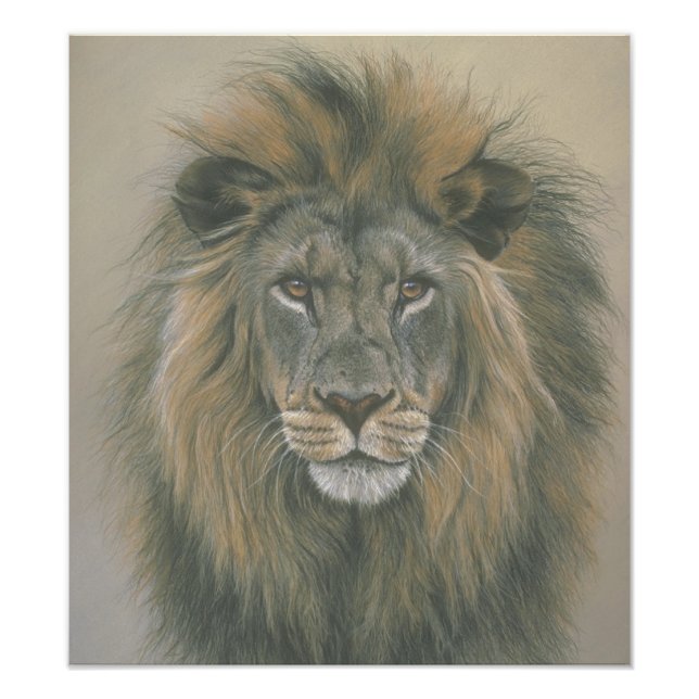 Poster du Lion du Seigneur de la Jungle (Devant)