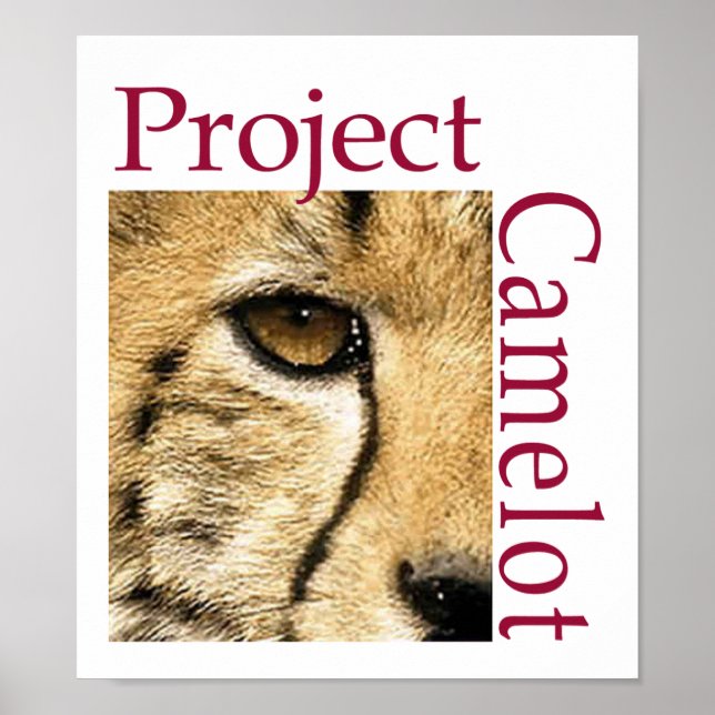 Poster du logo du projet Camelot (Devant)