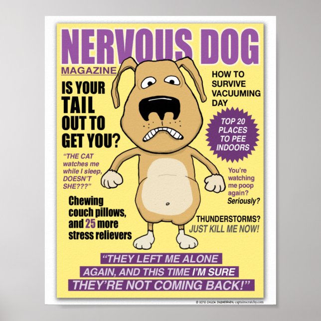 Poster du magazine Drôle Nervous Dog (Devant)
