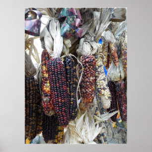 Poster du maïs indien