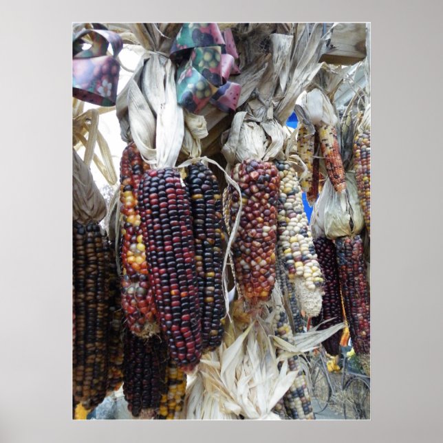 Poster du maïs indien (Devant)