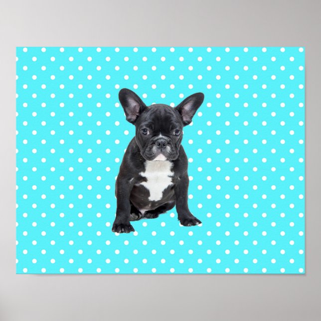 Poster du mignon Français Bulldog Blue Pois (Devant)
