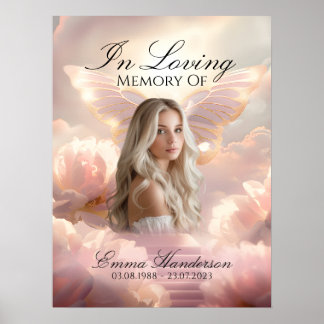 Poster du panneau d'accueil du papillon Ascend