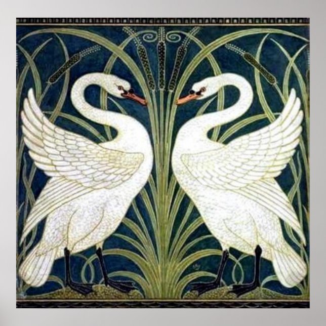 Poster du papier peint Swan and Rush and Iris (Devant)