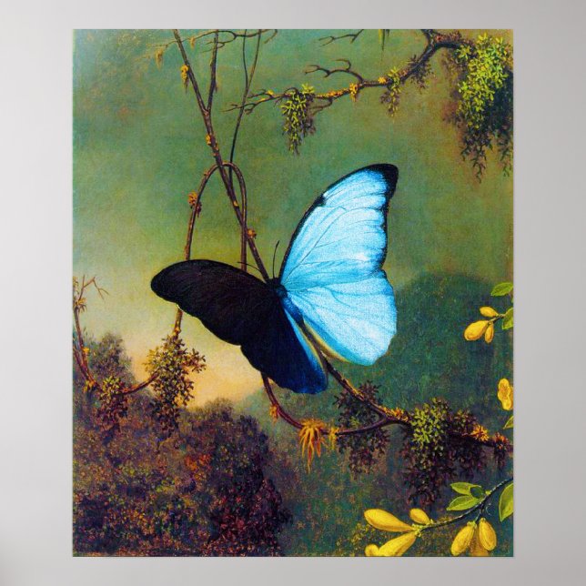 Poster du papillon bleu Morpho (Devant)
