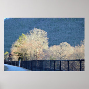 Poster du parc d'état de Trees Lehigh Gorge