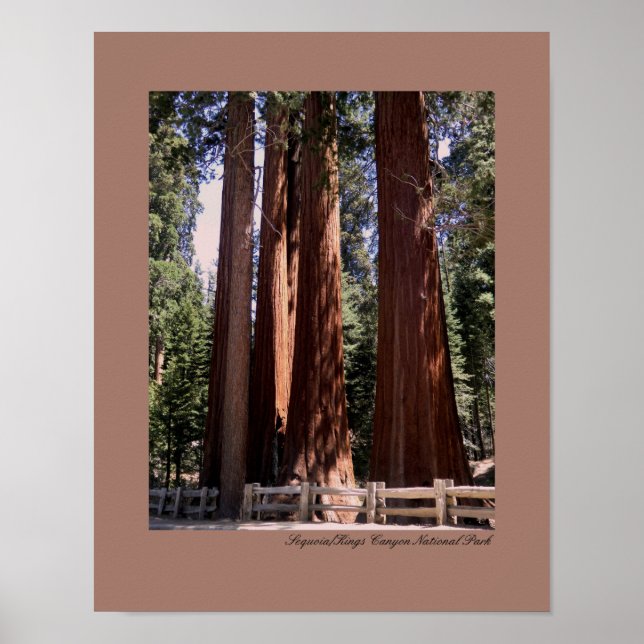 Poster du parc national de Sequoia/Kings Canyon (Devant)
