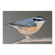 Poster du paysage nuthatch à poitrine rouge