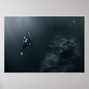 Poster du photographe Diver