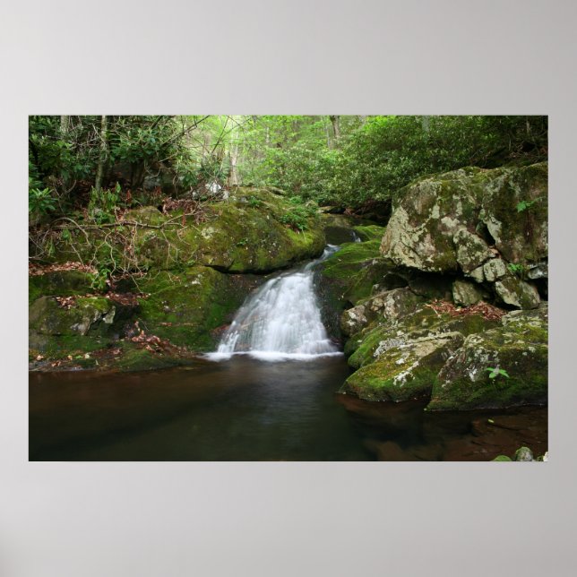 Poster du pool cool (Devant)